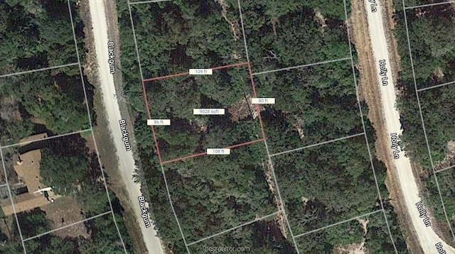 LOT9 Blackgum Dr, Hilltop Lakes TX, 77871 land for sale