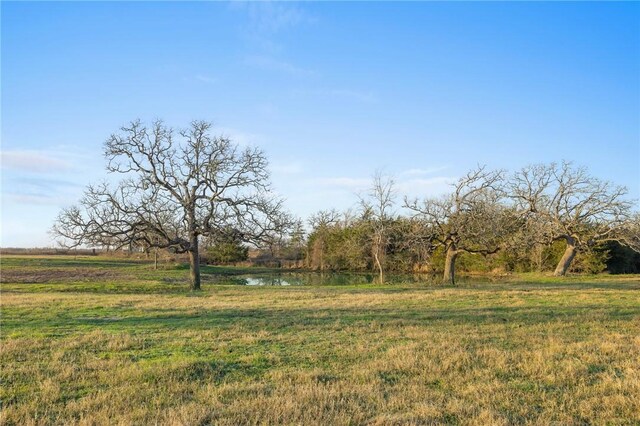 3.514AC LOT2S Crk 410, Somerville, TX 77879 - photo 5