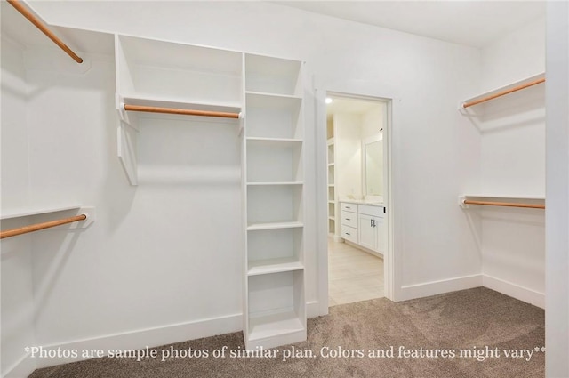 436 Brazos Bnd, Snook, TX 77879 - spacious closet featuring light colored carpet