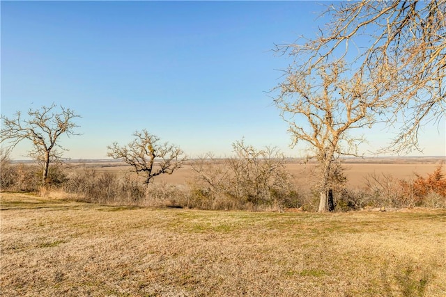 view of yard featuring a rural view