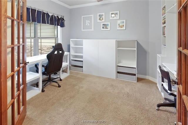 office featuring crown molding and carpet floors