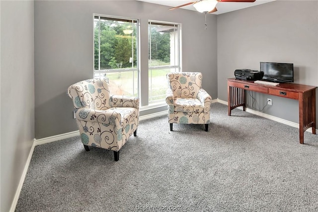 interior space featuring carpet flooring, plenty of natural light, and ceiling fan