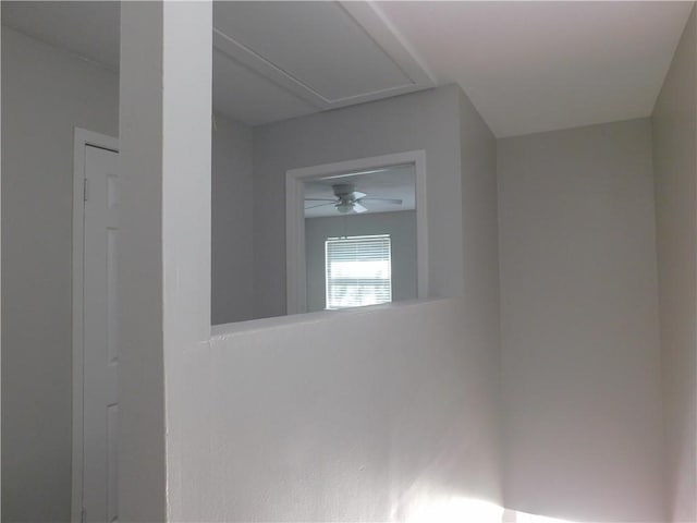 2807 Wildflower Dr Unit 11, Bryan, TX 77802 - photo 23