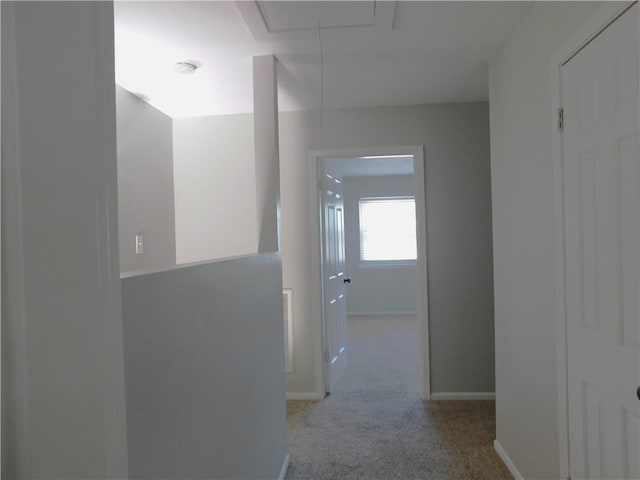 2807 Wildflower Dr Unit 11, Bryan, TX 77802 - photo 22