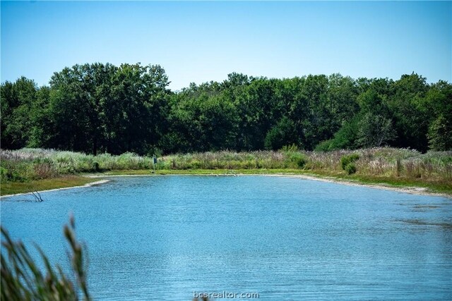 view of water feature