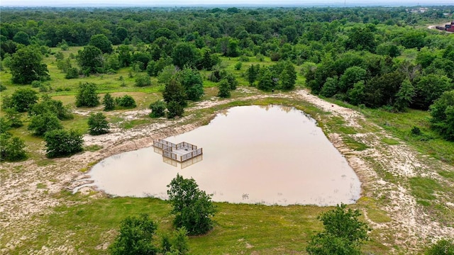 drone / aerial view featuring a water view and a wooded view