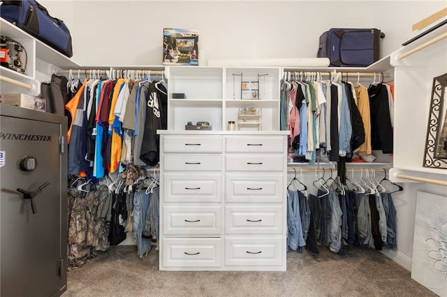 spacious closet with carpet flooring