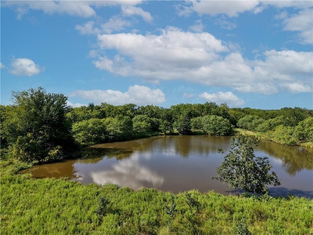 TBD Cr 123, Iola, TX 77831 - photo 1