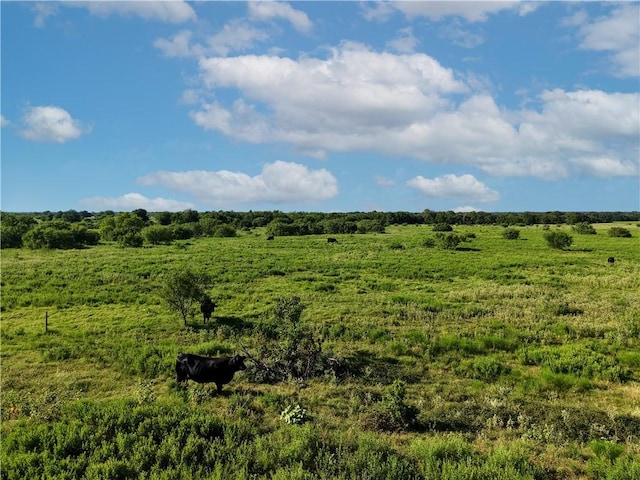 TBD Cr 123, Iola, TX 77831 - photo 41