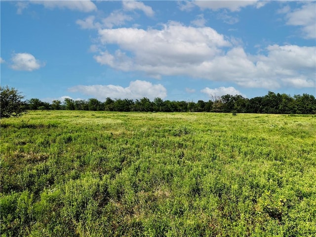 TBD Cr 123, Iola, TX 77831 - photo 23