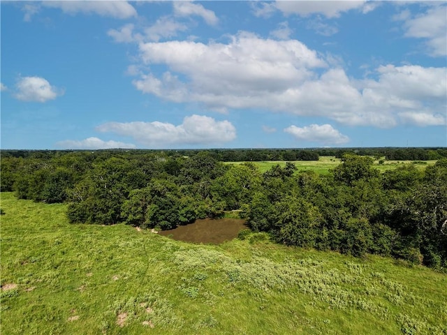 TBD Cr 123, Iola, TX 77831 - photo 35