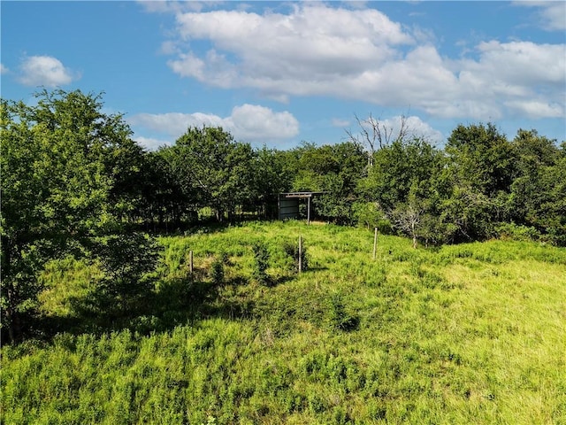 TBD Cr 123, Iola, TX 77831 - photo 18