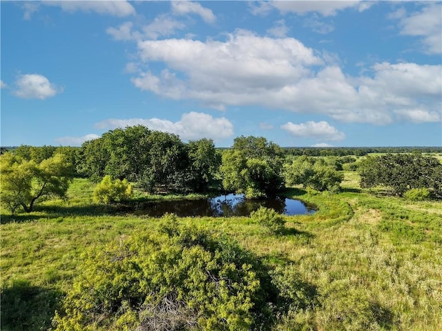 TBD Cr 123, Iola, TX 77831 - photo 4
