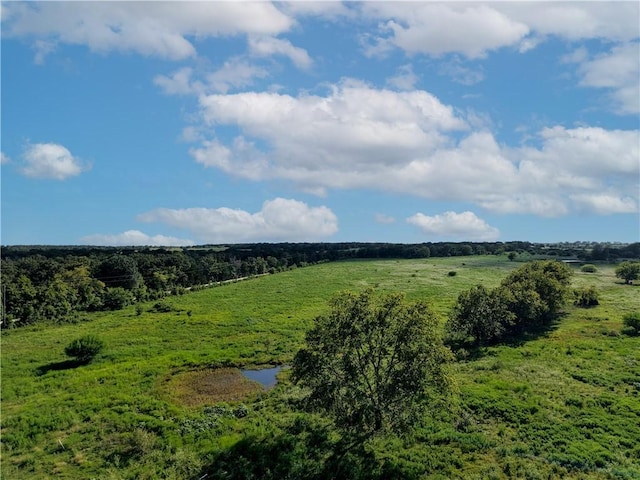 TBD Cr 123, Iola, TX 77831 - photo 19