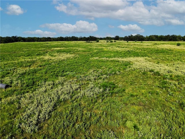 TBD Cr 123, Iola, TX 77831 - photo 36