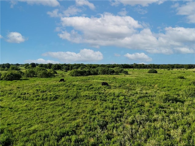 TBD Cr 123, Iola, TX 77831 - photo 42