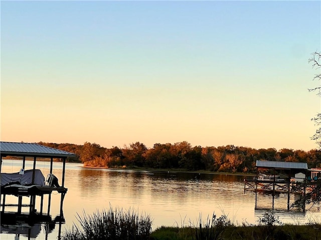 dock area with a water view