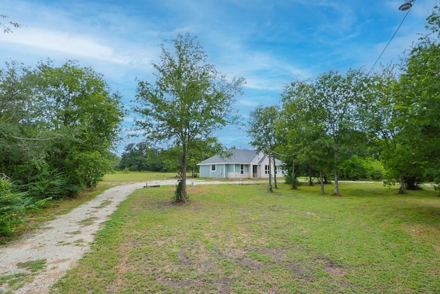 12029 Eagle Ln, North Zulch, TX 77872 - view of green lawn with dirt driveway