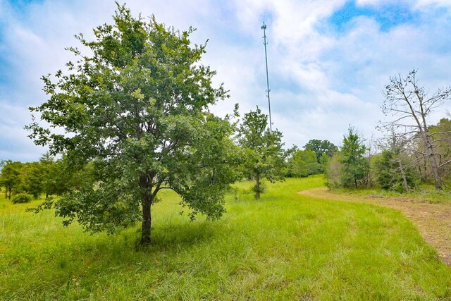 12029 Eagle Ln, North Zulch, TX 77872 - view of undeveloped land