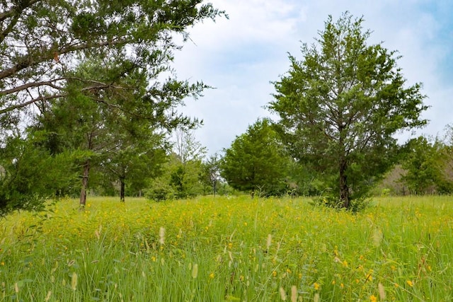 12029 Eagle Ln, North Zulch, TX 77872 - view of nature