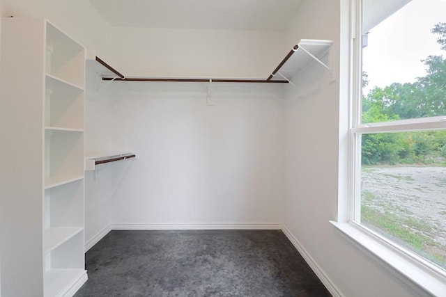 12029 Eagle Ln, North Zulch, TX 77872 - view of walk in closet