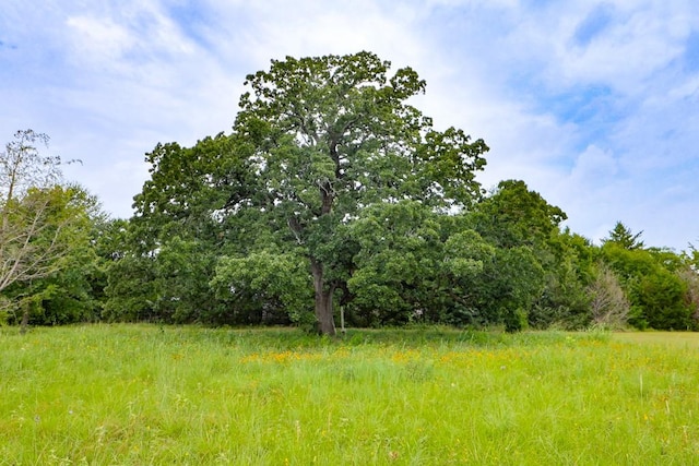 12029 Eagle Ln, North Zulch, TX 77872 - view of undeveloped land