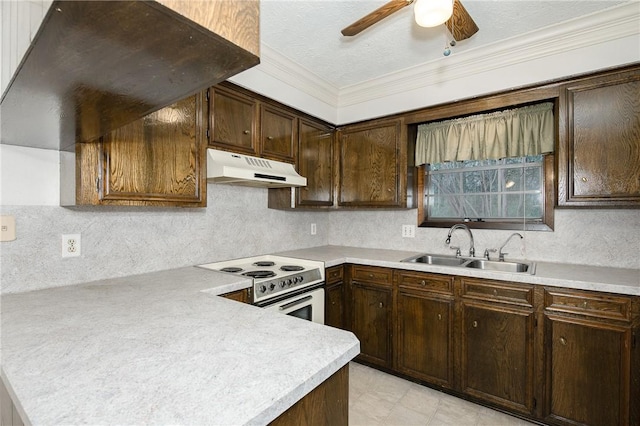 kitchen with dark brown cabinetry, under cabinet range hood, white electric range, a sink, and light countertops