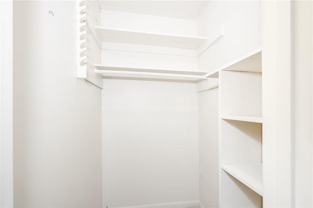 view of walk in closet