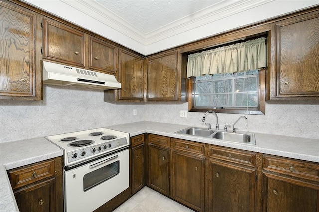 kitchen with white electric stove, dark brown cabinetry, under cabinet range hood, a sink, and light countertops