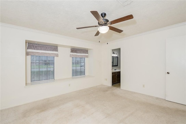 spare room featuring light carpet, a ceiling fan, ornamental molding, a textured ceiling, and a sink