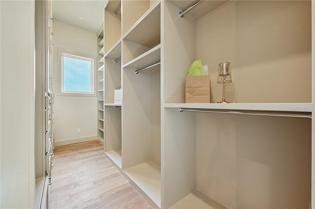 spacious closet featuring light hardwood / wood-style floors