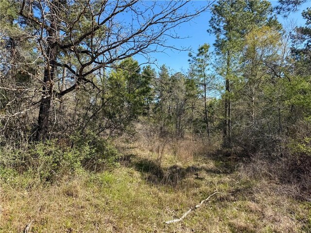 15.86ACRES Round Prairie Rd, Huntsville, TX 77320 - photo 8