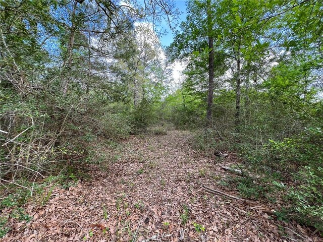 15.86ACRES Round Prairie Rd, Huntsville, TX 77320 - photo 12