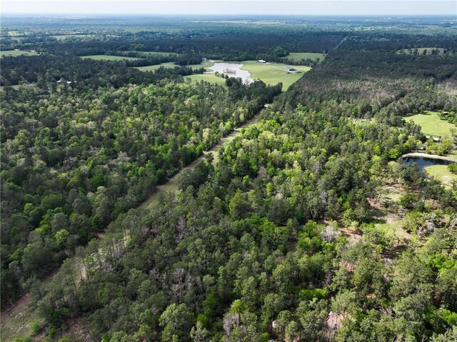 15.86ACRES Round Prairie Rd, Huntsville, TX 77320 - photo 14