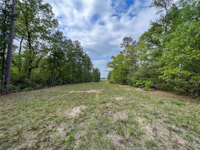 15.86ACRES Round Prairie Rd, Huntsville, TX 77320 - photo 11