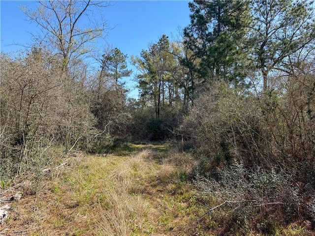 15.86ACRES Round Prairie Rd, Huntsville, TX 77320 - photo 7