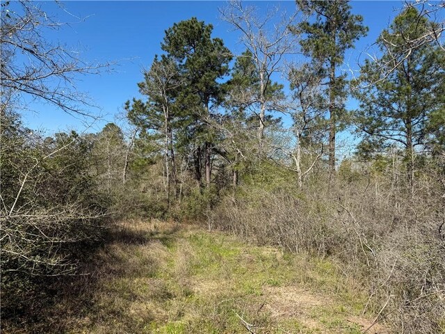 15.86ACRES Round Prairie Rd, Huntsville, TX 77320 - photo 4