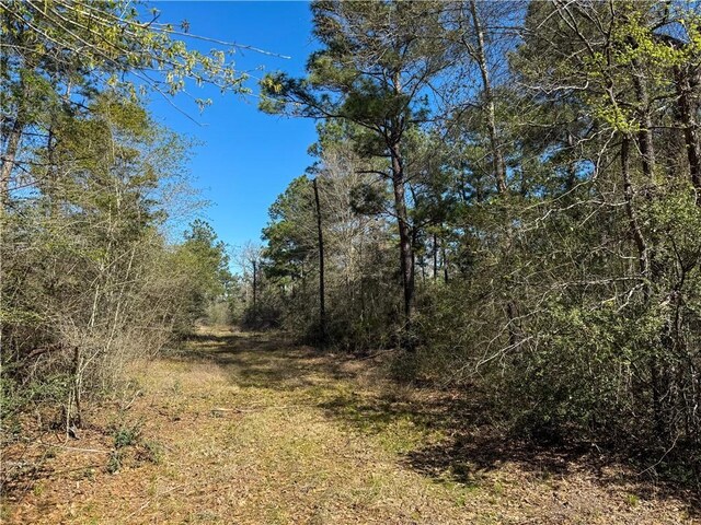 15.86ACRES Round Prairie Rd, Huntsville, TX 77320 - photo 10
