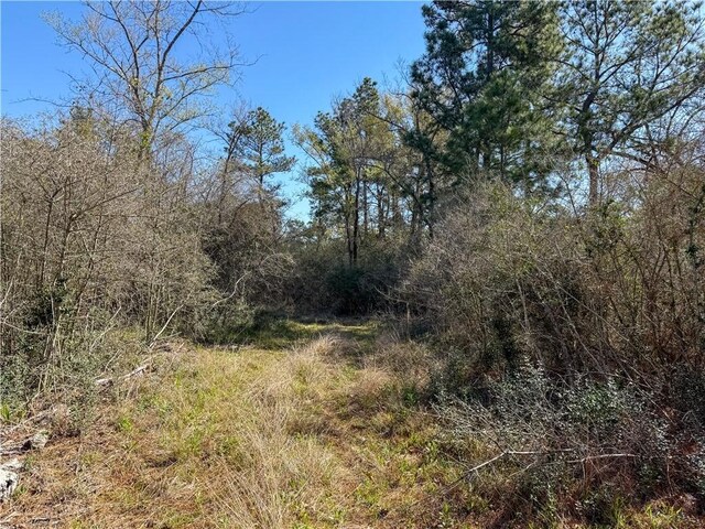15.86ACRES Round Prairie Rd, Huntsville, TX 77320 - photo 5