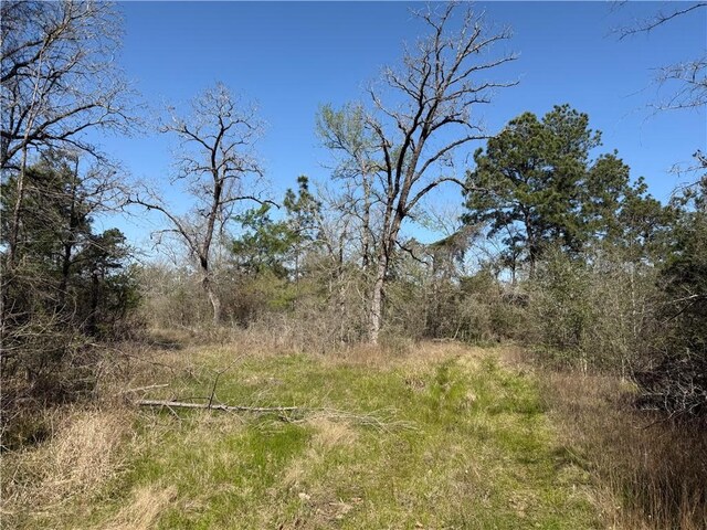 15.86ACRES Round Prairie Rd, Huntsville, TX 77320 - photo 9