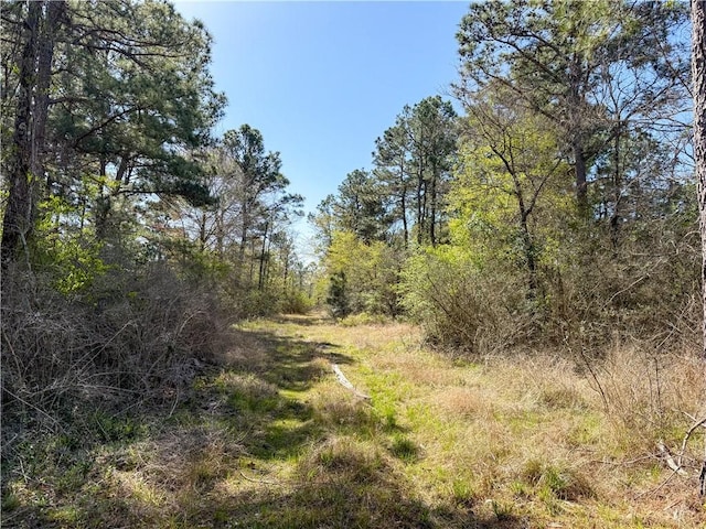 15.86ACRES Round Prairie Rd, Huntsville, TX 77320 - photo 1