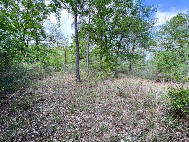 15.86ACRES Round Prairie Rd, Huntsville, TX 77320 - photo 13