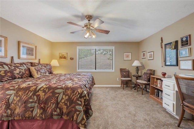 2806 Broadmoor Dr, Bryan, TX 77802 - photo 13