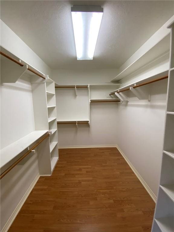 spacious closet featuring dark wood-type flooring