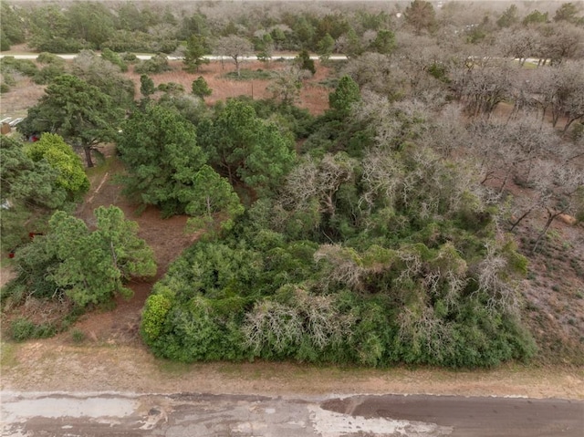 Lot18 Jamaica, Normangee, TX 77871