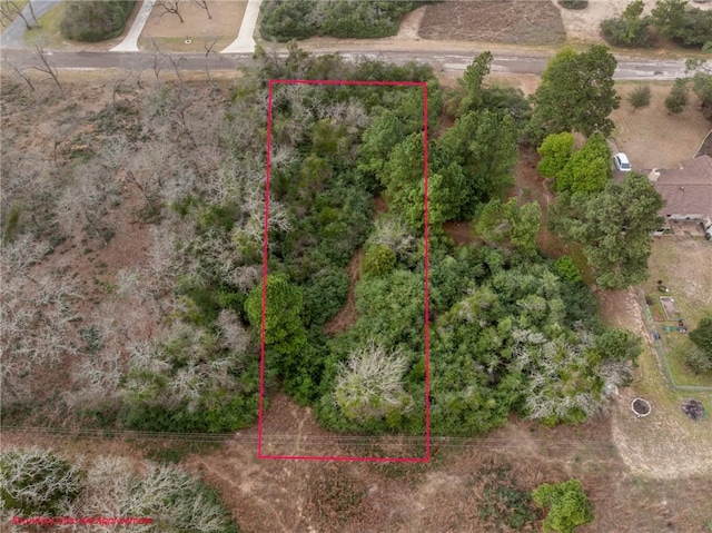 Lot18 Jamaica, Normangee, TX 77871