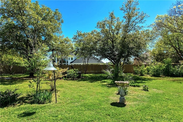 view of yard with a fenced backyard