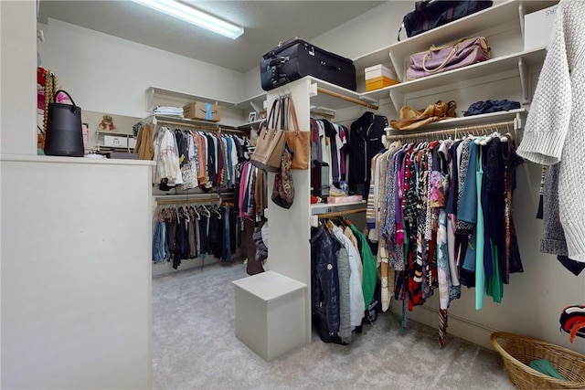 walk in closet with carpet floors