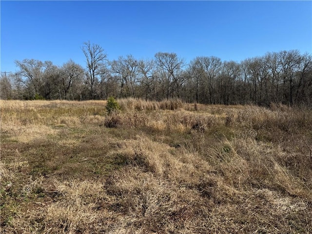 24126 Fm 1155 E, Washington TX, 77880 land for sale