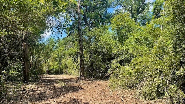 5.75 Acres Rd, Franklin, TX 77856 - photo 1